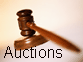 Auction