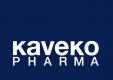 Dealers Logo