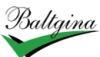 Company-logo